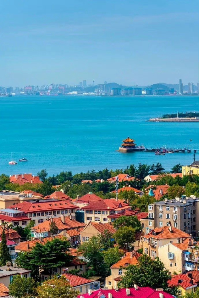青岛的夏天，绿树开始爬上红瓦，穿过老城的小巷，登高望碧海蓝天…… 