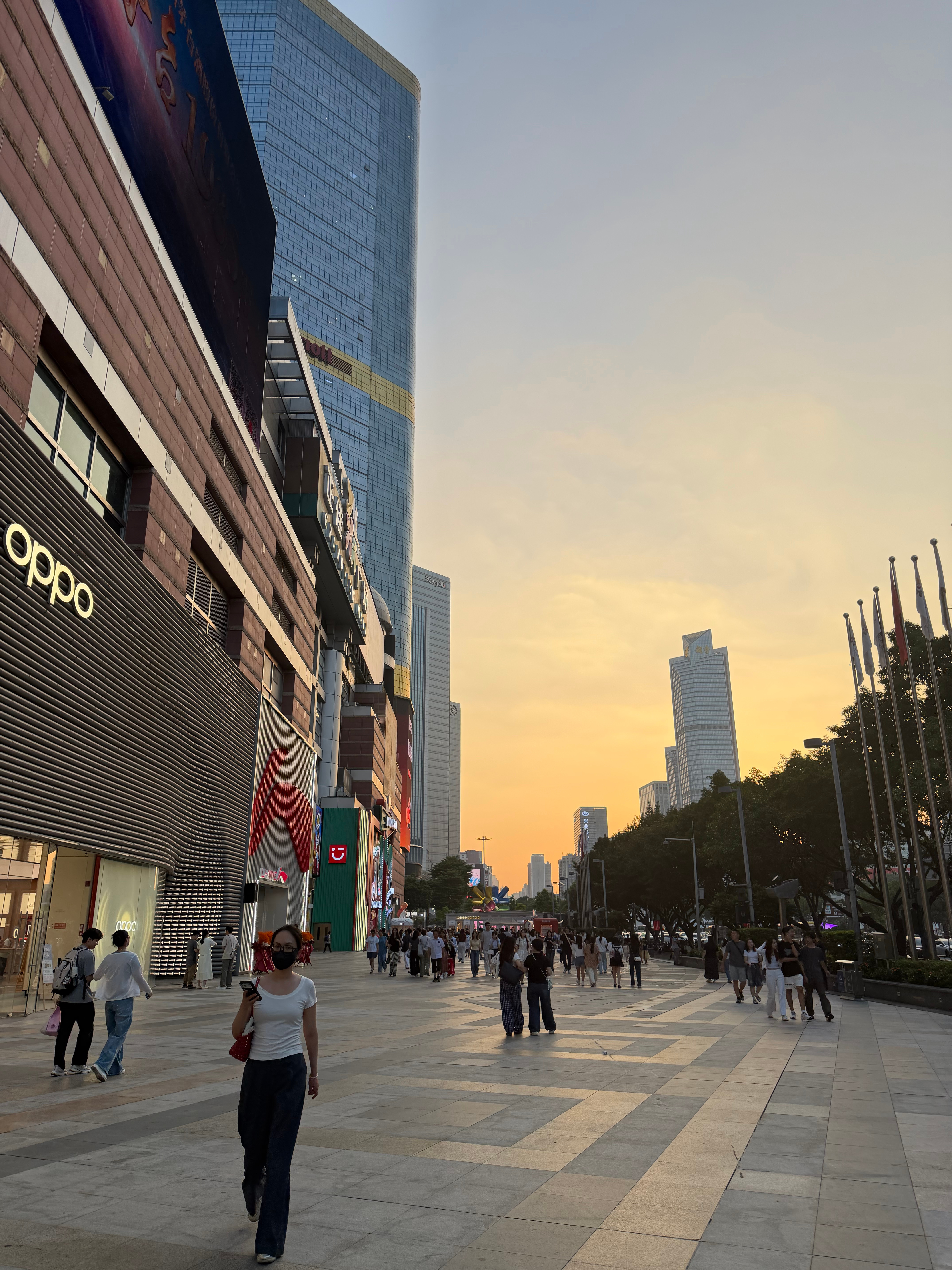 台风登陆两个人都值一线班只有可怜害怕台风的毛一个人在家 广州