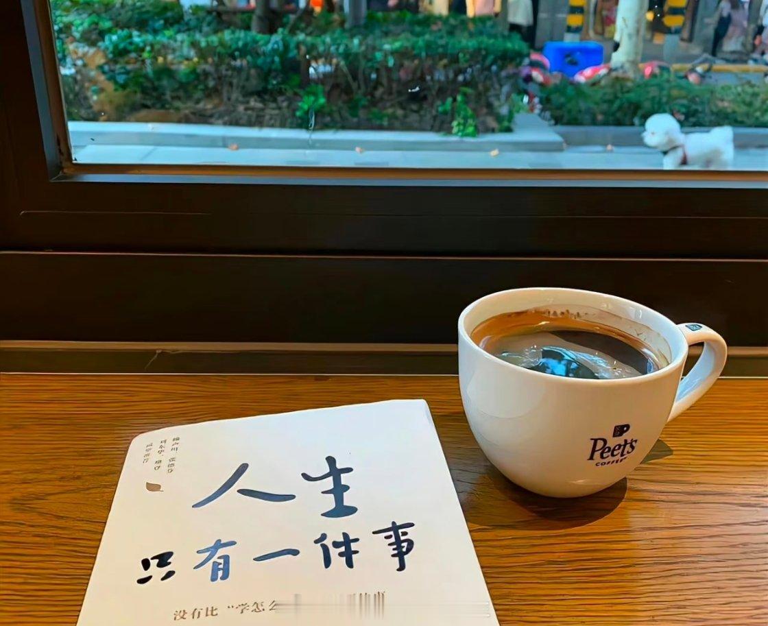 昨天的成绩是过去，明天的梦想是未来，唯有今天的努力才是触手可及的真实。朋友，只要
