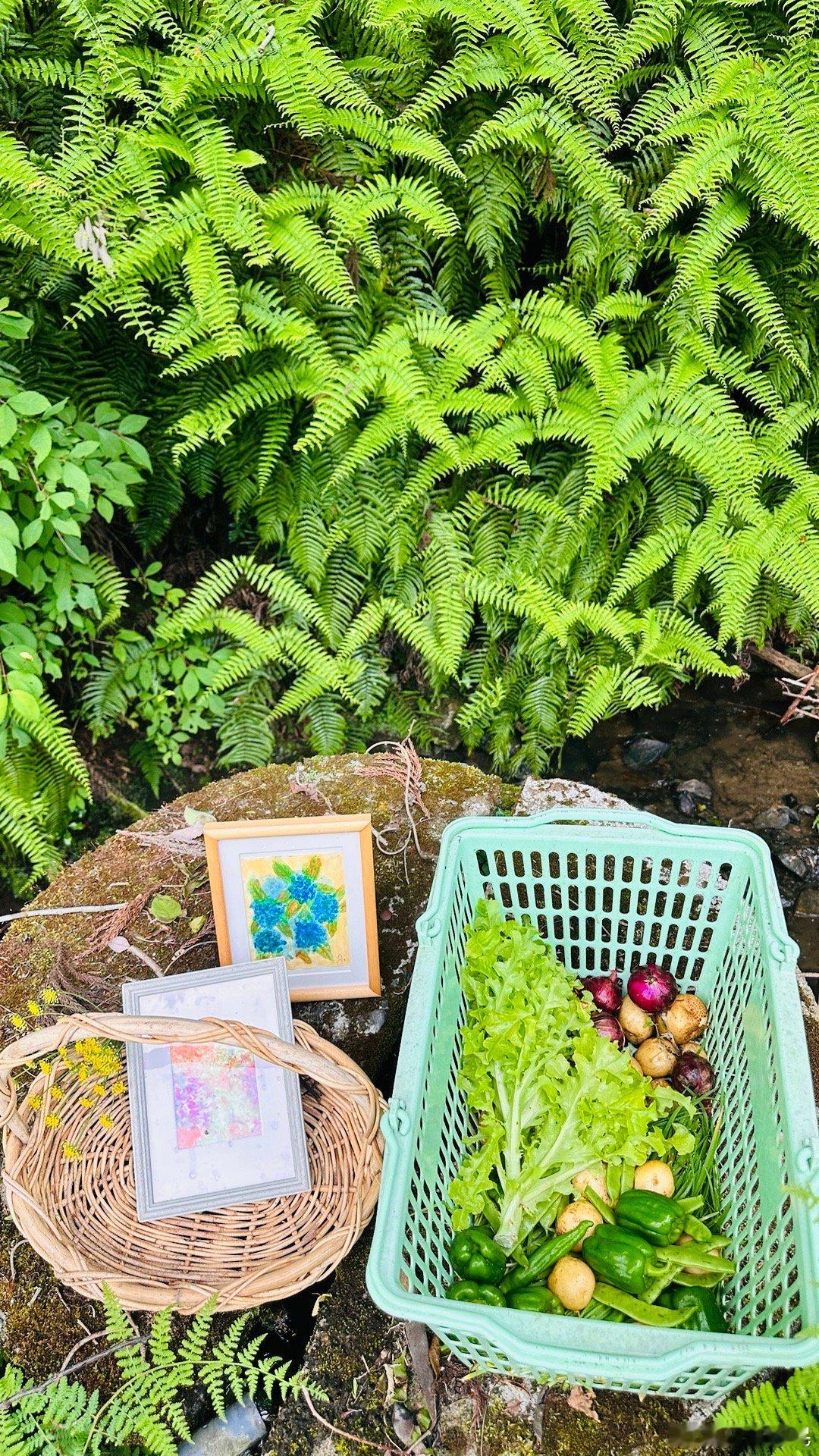 新鲜绿意～～好一幅田园画🌷要深怀对自然的敬畏之心禅耕文化感恩生活美学农沁茶棚遇
