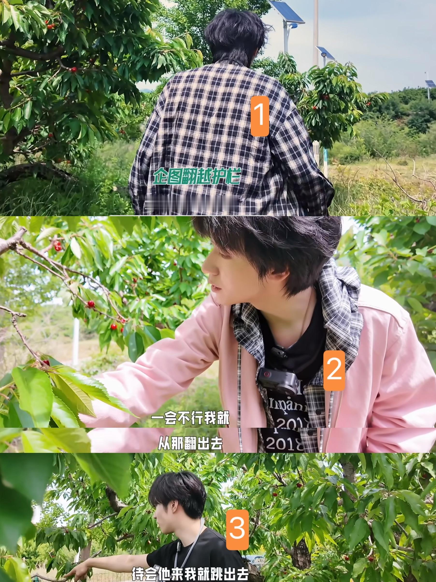 时蛋团我求你们 这种事上也要这么有默契吗？ 