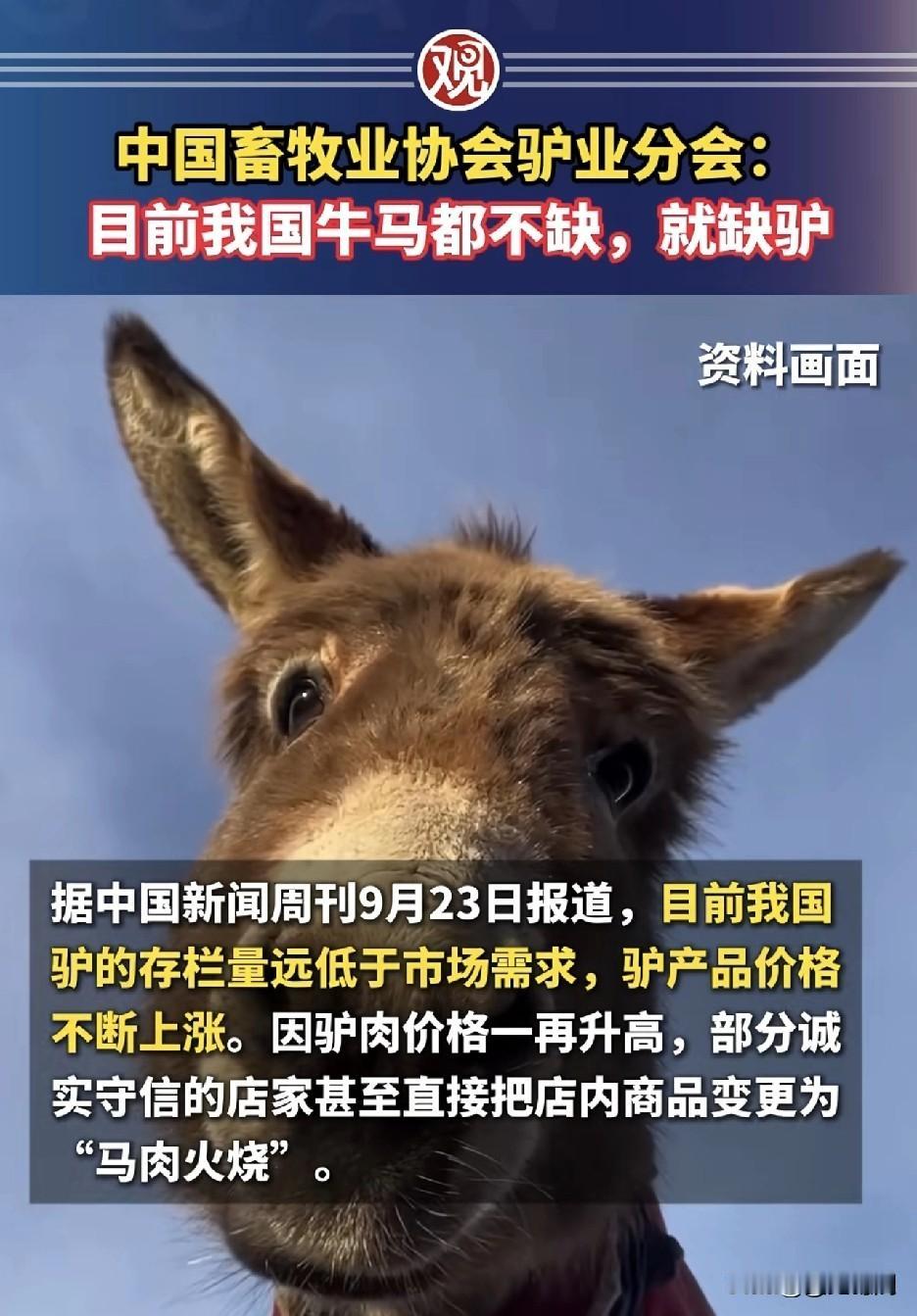 感觉被内涵到了……[送心]

9月23日，早晨六点半的兰州街头，牛肉面馆前已经排