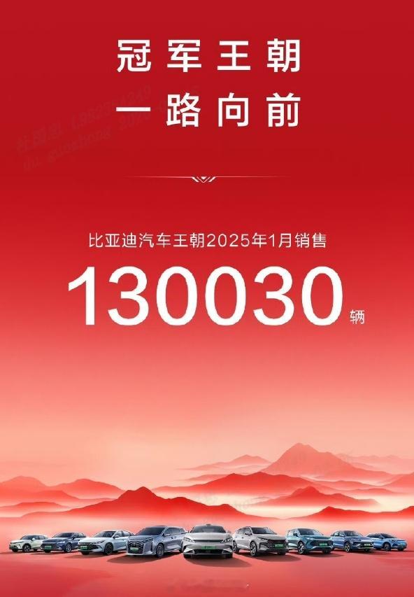 比亚迪1月销量达到300538辆，这个数字不仅代表着市场的认可，更折射出品牌多年