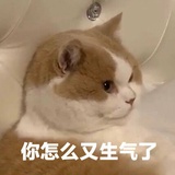 小鹎侃侃科技