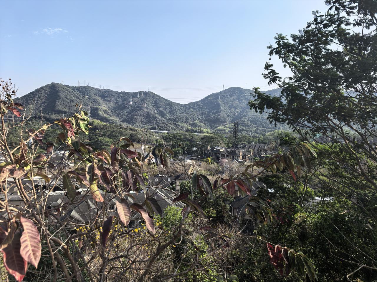 分享一张最近随手拍的照片没来深圳之前，总觉得深圳除了海滩就是平川。到了深圳，才发