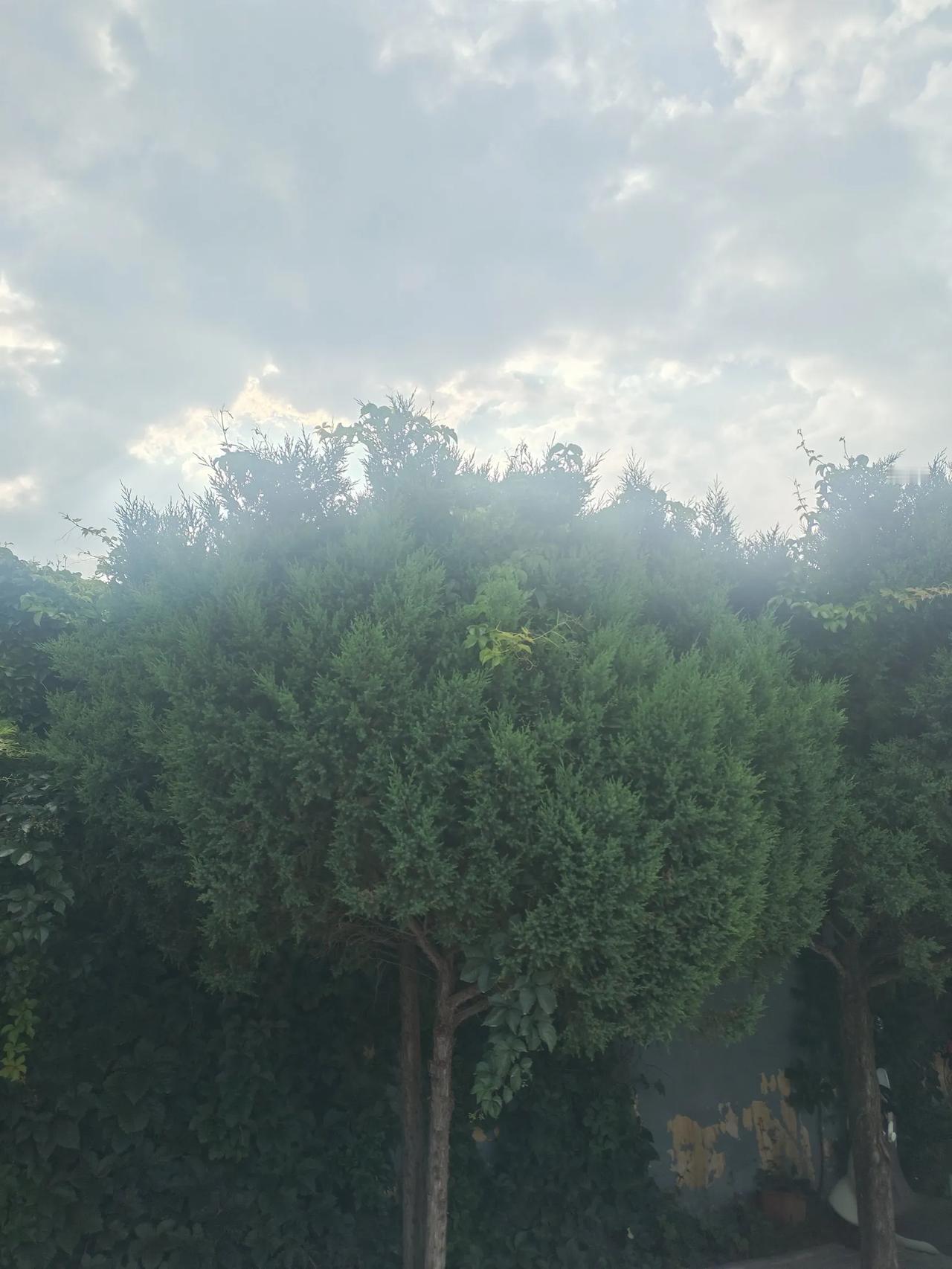 分享一下你随手拍下的清晨的天空陕北北部某城市，连续几天的降雨过后，终于要迎来朝阳