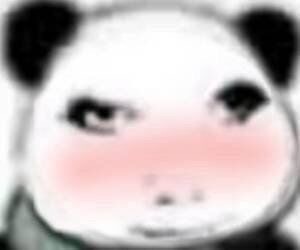 实用斗图表情包 ​​​
