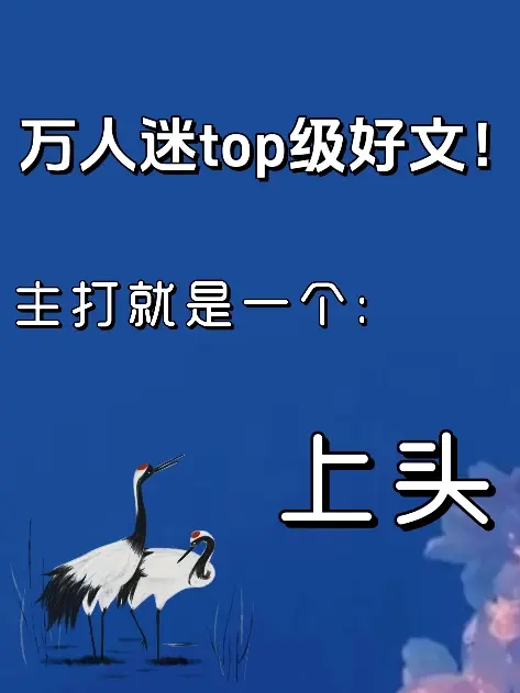 小说 文荒推荐 万人迷