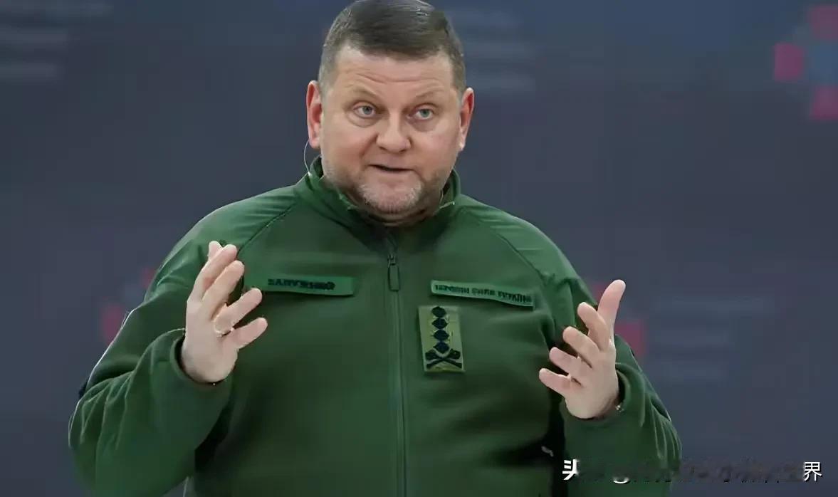 扎卢日内至今都是泽连斯基最大的竞争者，乌克兰民众还是更喜欢扎卢日内一些！2022