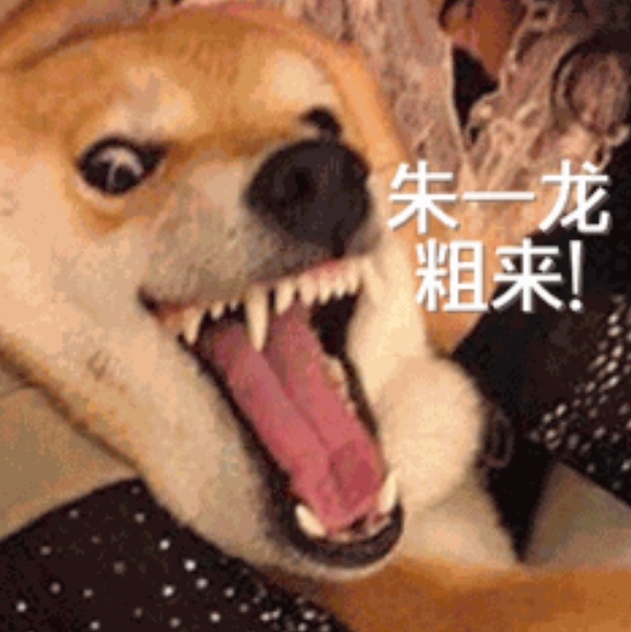 朱一龙长期不出现的我 🆚 朱一龙出现时的我 