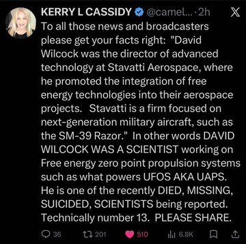证人保护程序中受到保护的戴维·威尔科克，曾经是自由能源研究者💡不久后UFO披露