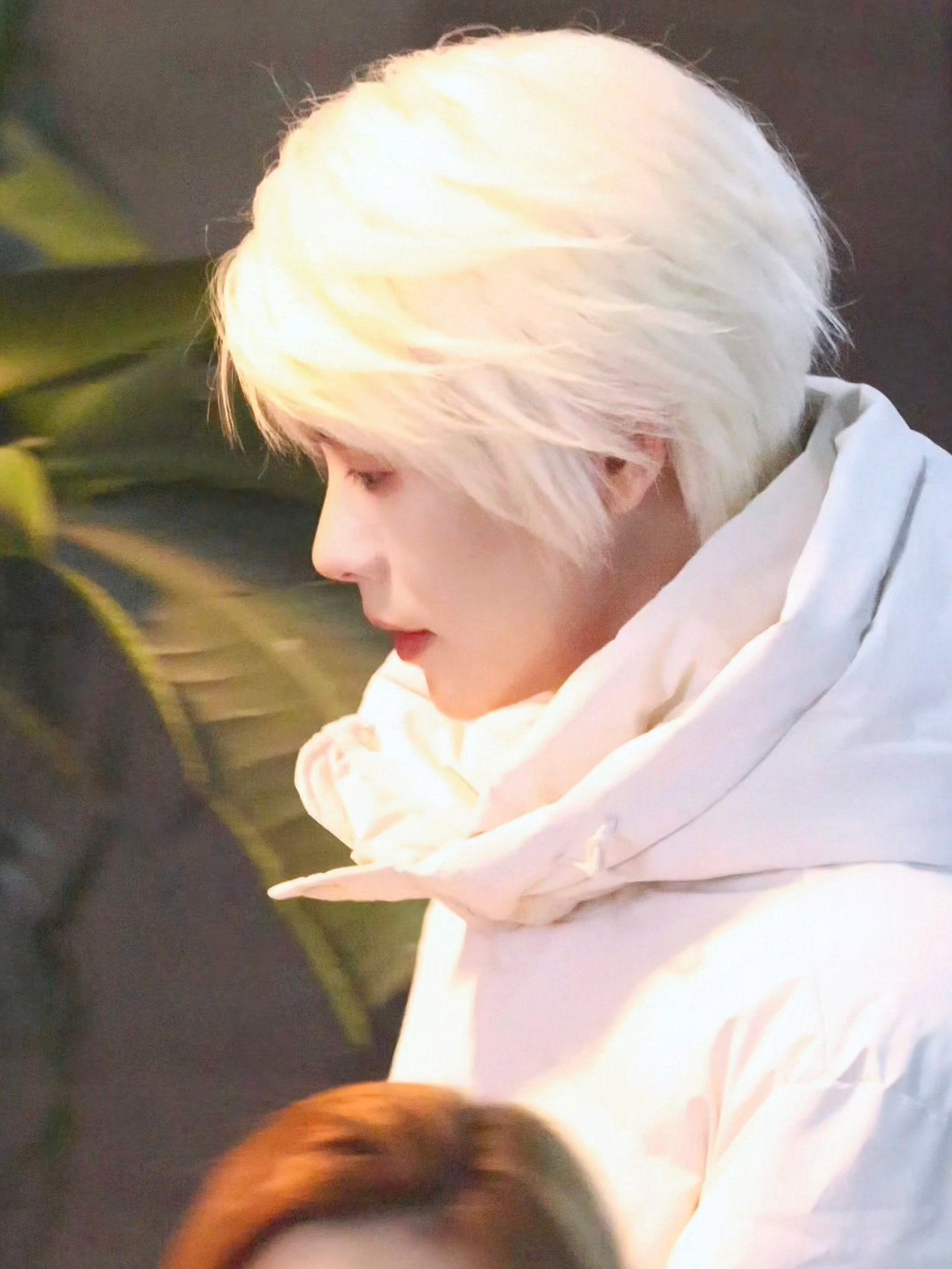 白毛控应该无法抵抗张七十吧🤔肖宇梁肖宇梁张七十