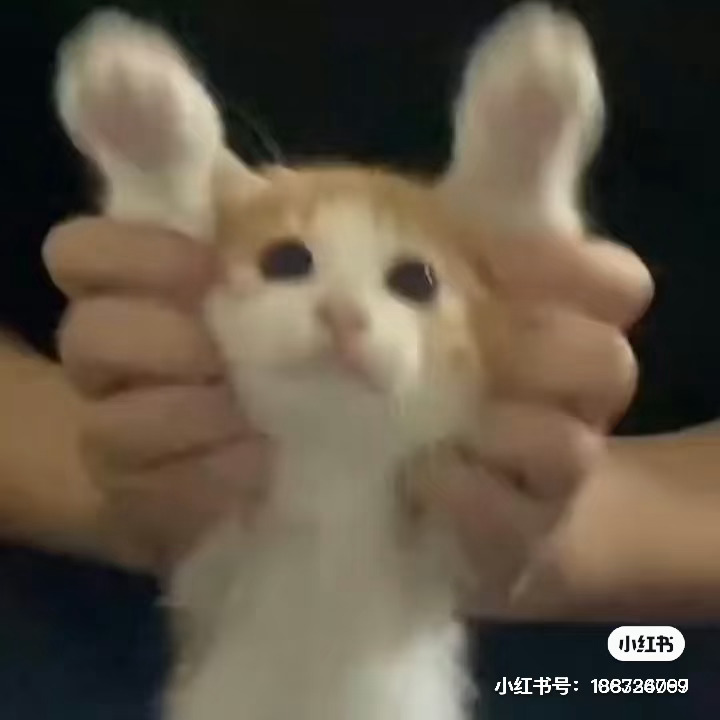 晚安！ 