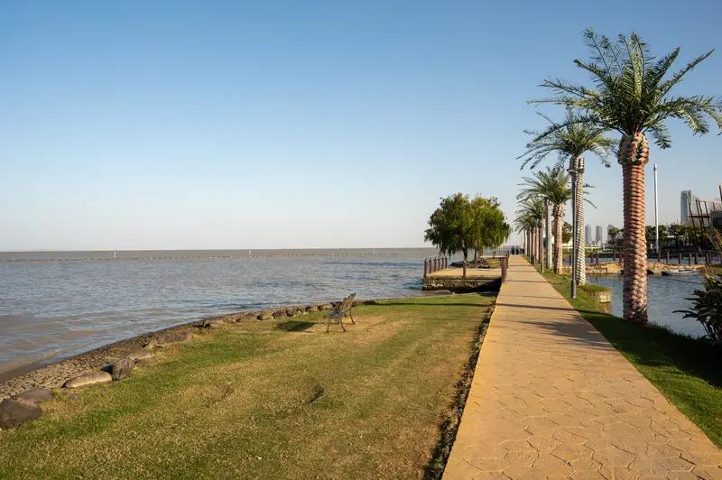 高情商对明星来说，那帮助可太大了。就拿黄渤来说，在《鲁豫有约》里，鲁豫问他是不是