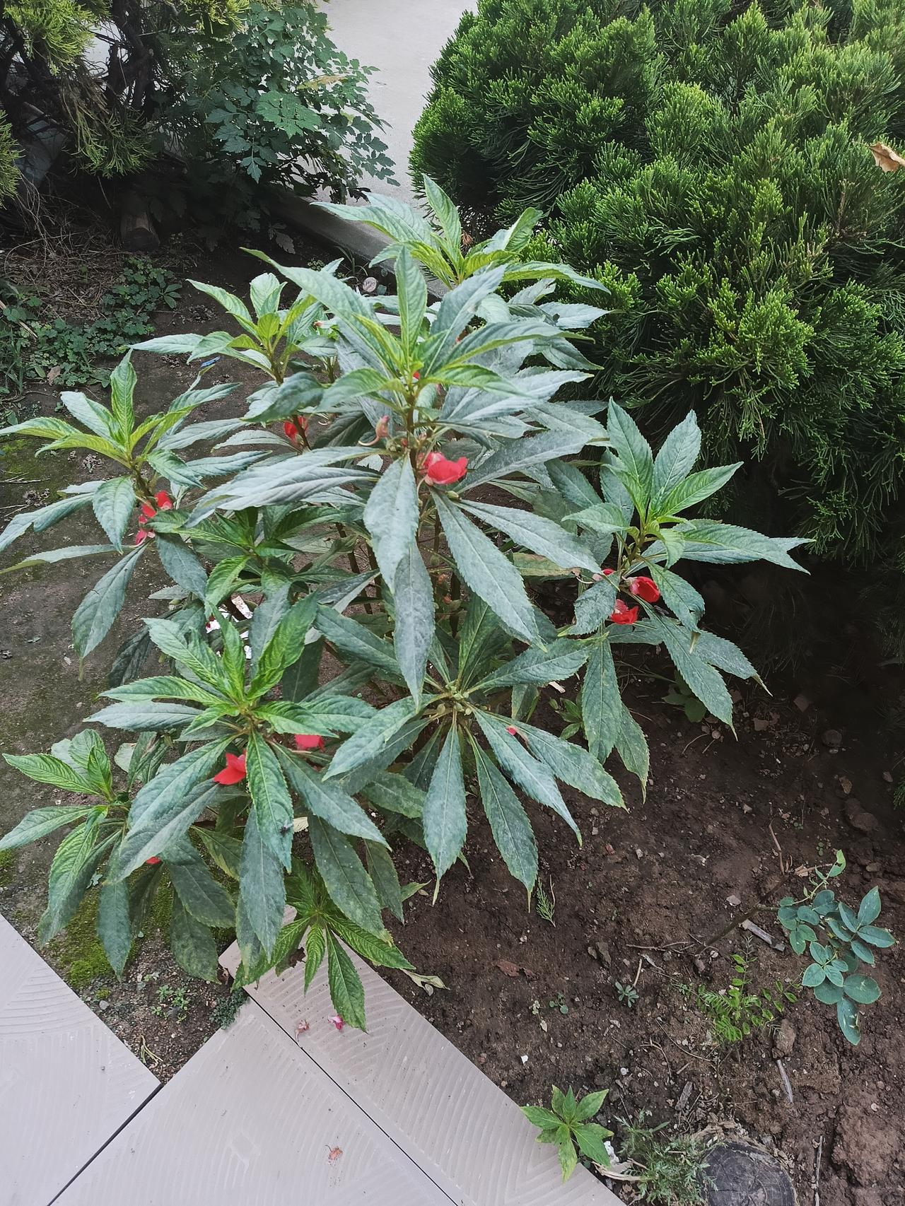 今天突然变冷了，
衣柜里的衣服该整理出来了，

特别想让我有份工作，
想让我去上