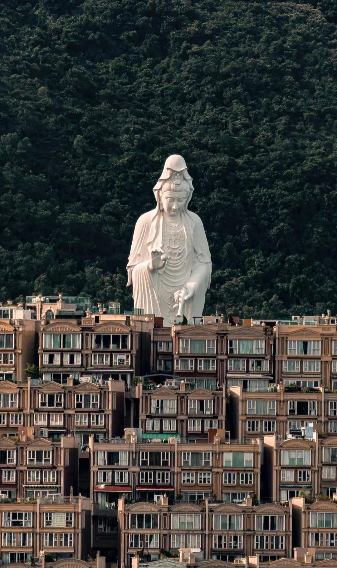 真的俯视众生
悲悯天下
这画面
真的蛮震撼