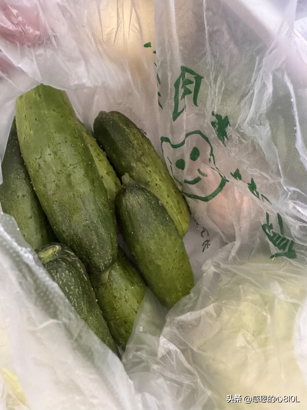 早上我去了市场，买了二斤小旱黄瓜，接着又到猪肉摊取回前几天灌好的香肠。
老板在冰