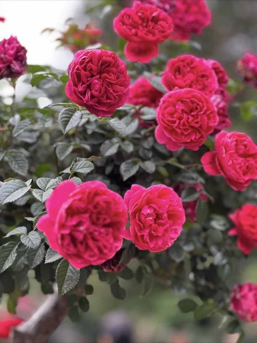 我是68年生的人，还有两年多就要退休了，想想我们那一代人，吃喝拉撒根本就没办法“