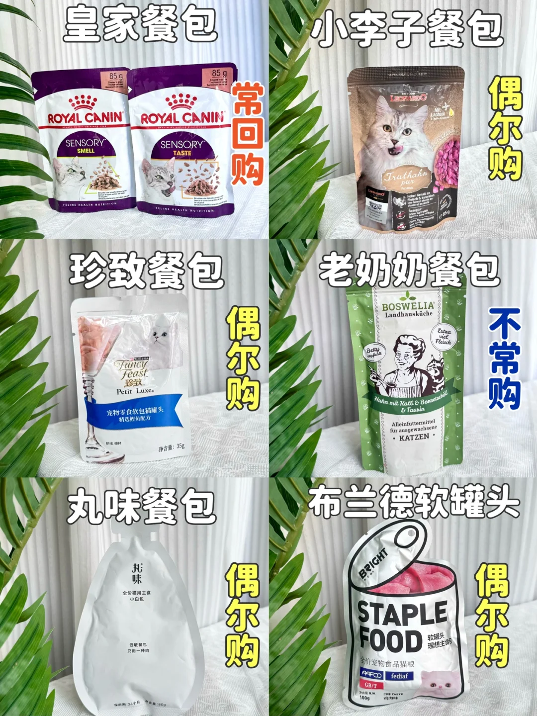皇家餐包简直就是猫咪界的人气王！