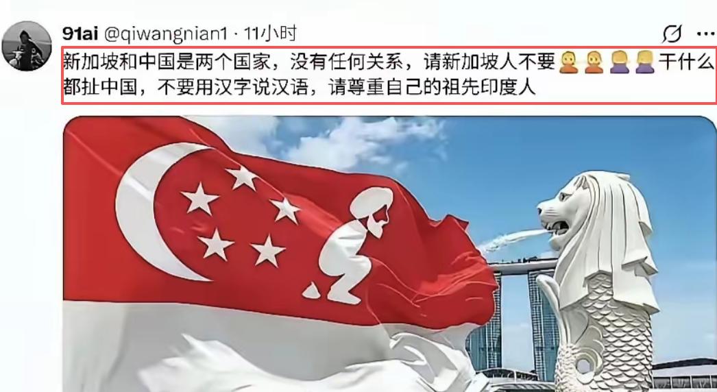 “新加坡和中国是两个国家，没有任何关系，请新加坡人不要干什么都扯中国，不要用汉字