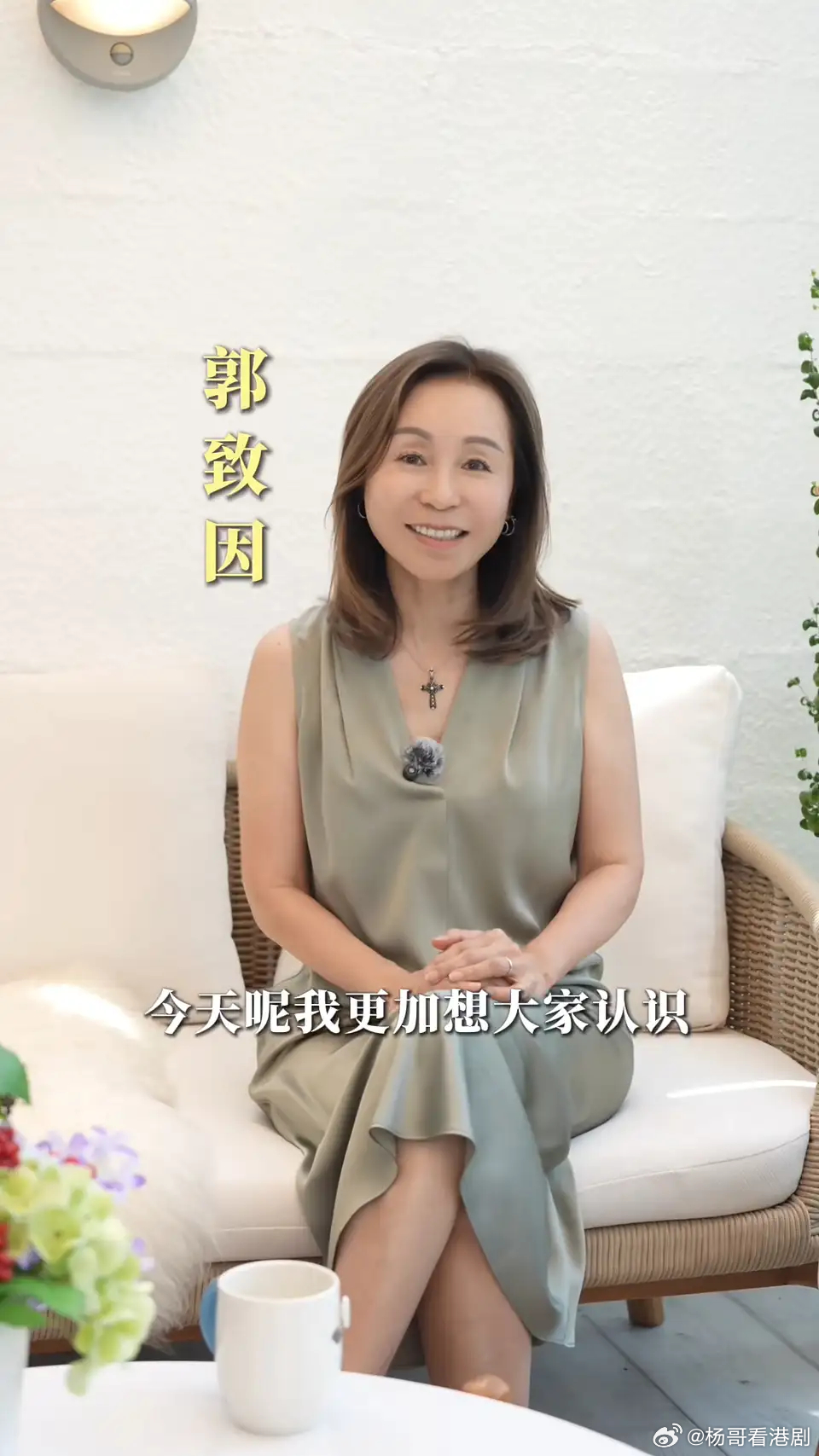 郭晉安CEO胞姊罕露面 氣質出眾做養生KOL 再晒高超水墨畫技.視帝郭晉安嘅胞姊