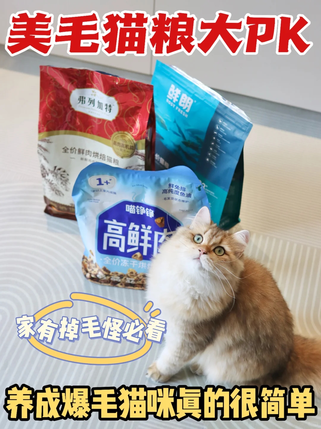 美毛猫粮大PK，养成爆毛猫咪真的很简单