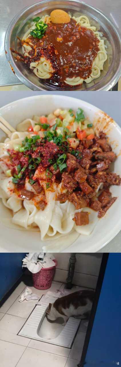 49494【丑猫】测宝有图，心灵太丑了😭😭再怎么样都不能舔厕所吧！ 