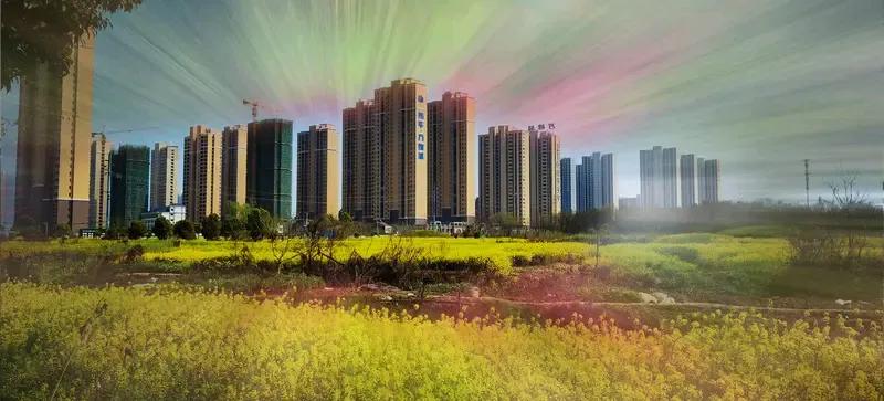 金昌、武威和白银市区蝗虫众多的事情已经被报道好些日子了。张掖发现得稍迟了些，紧接