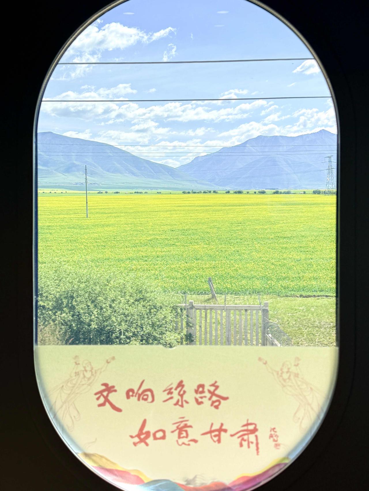 七月的门源，正酝酿着一场盛大的金色奔赴！此刻，30万亩油菜花已跃入盛花期，金浪与