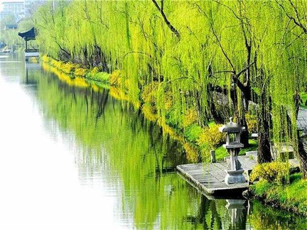 【扬州瘦西湖】“天下三分明月夜，二分无赖是扬州。”  