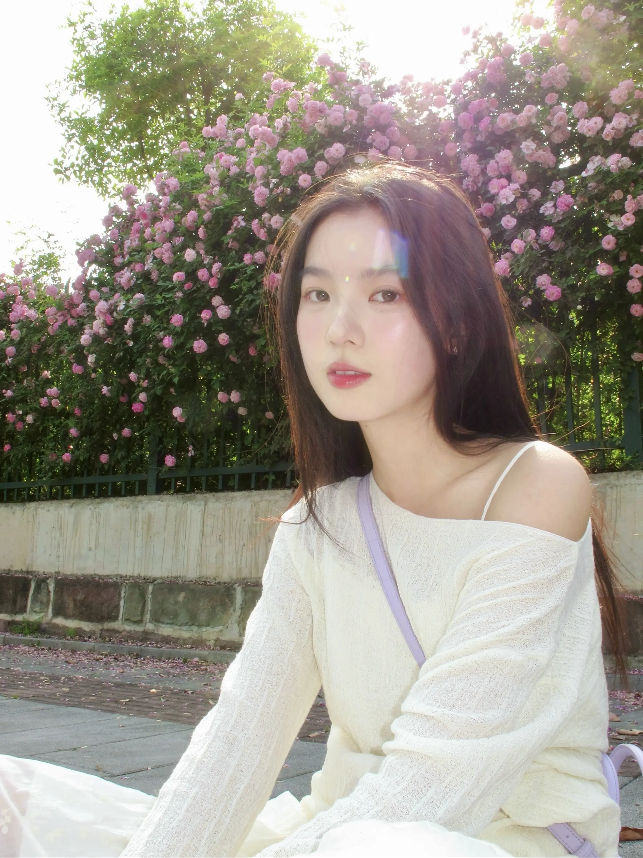蔷薇花