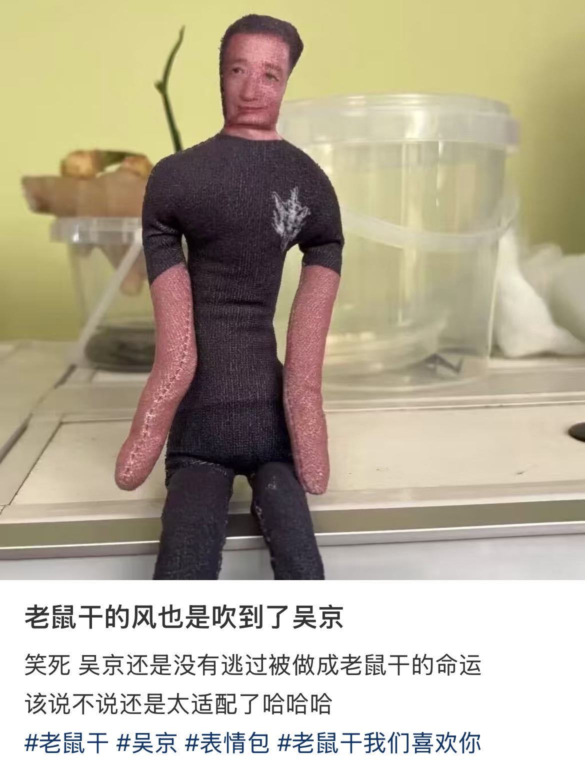 谁能想到啊，吴京直接承包了互联网的脑洞！网友的整活从不停歇，各种京化物料层出不穷