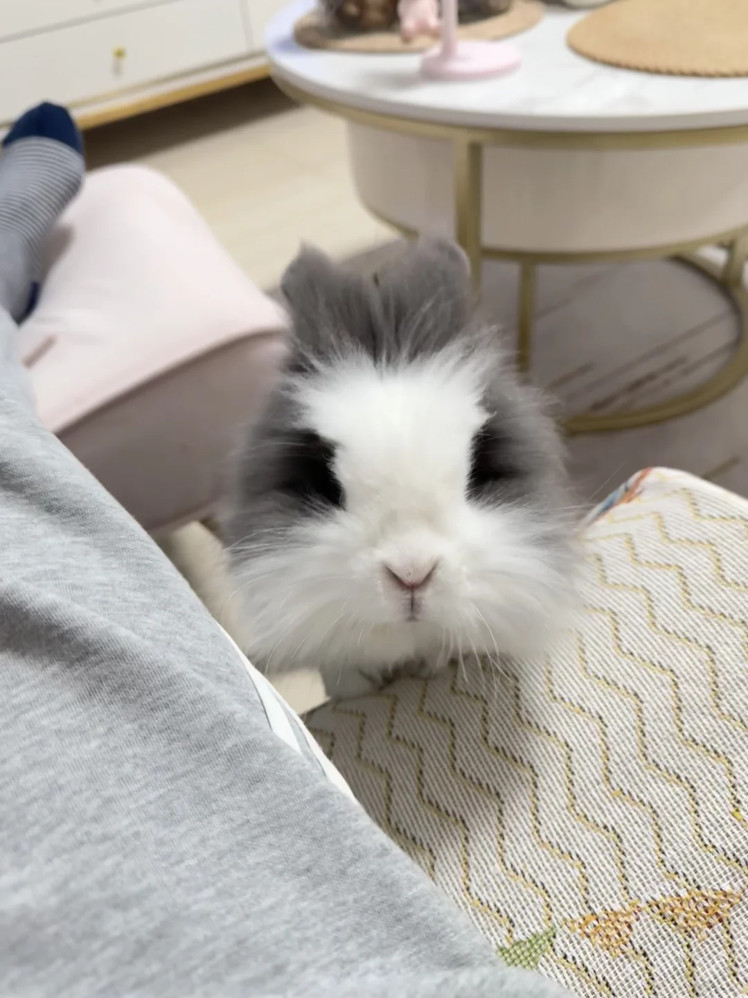 麻麻我来啦！