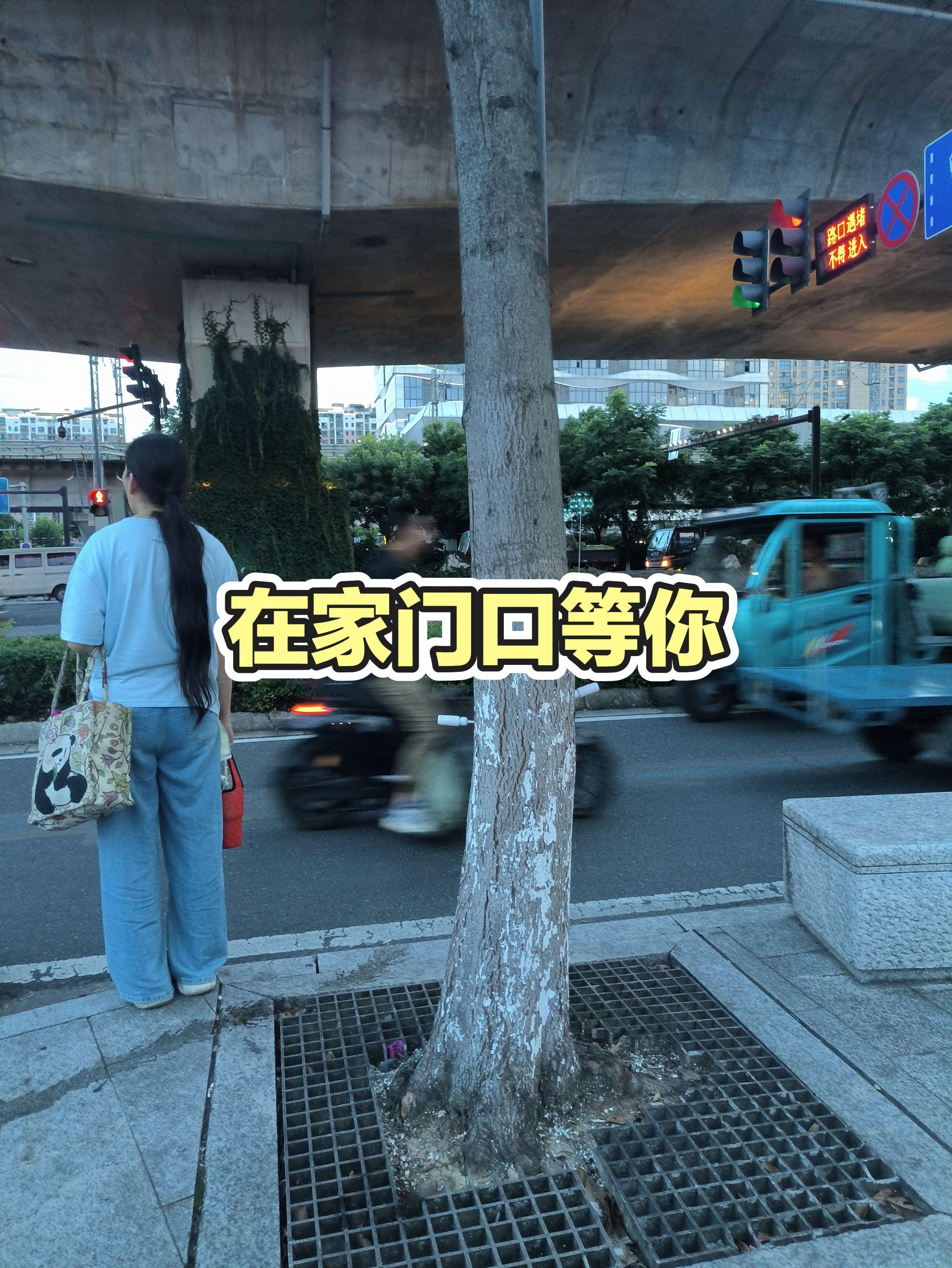 每日分享