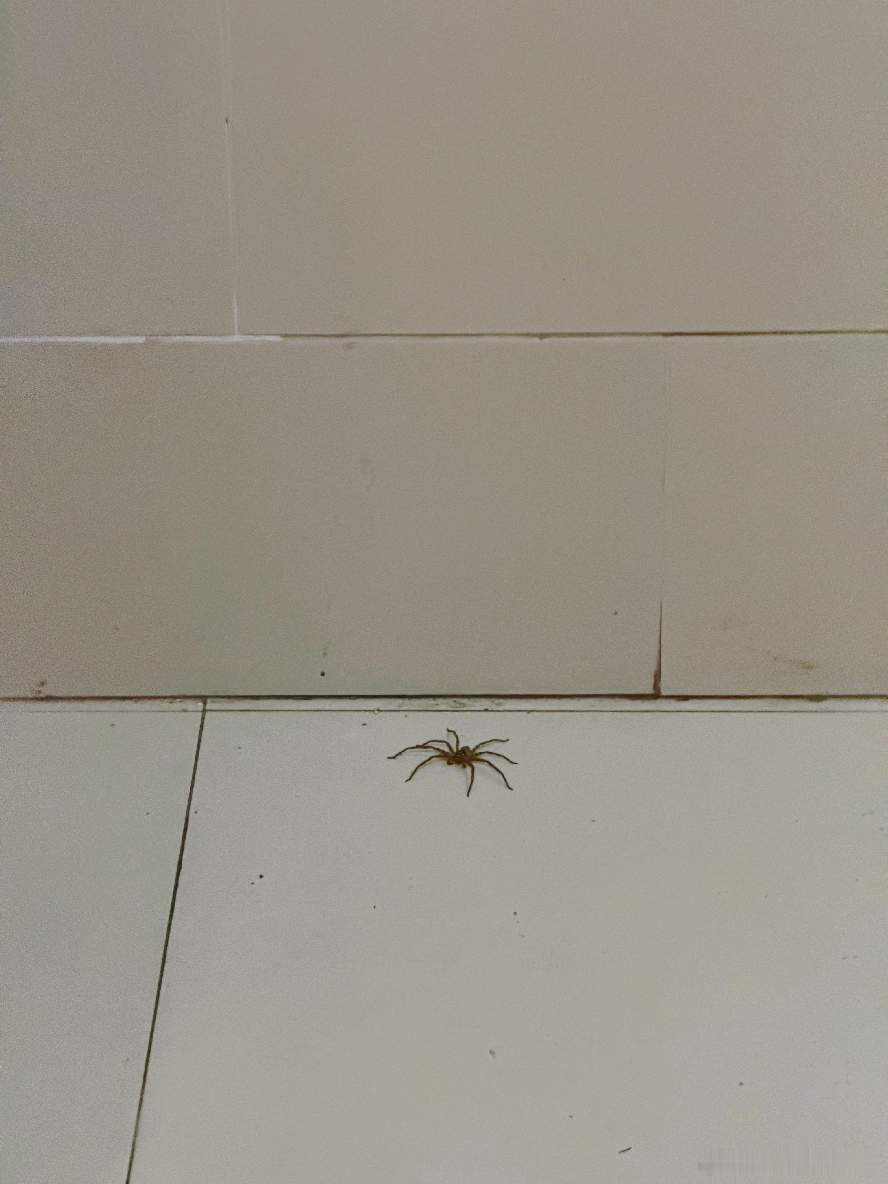 兄弟们，这货把我赌单元门口了咋整？想出门必须紧贴它😭 