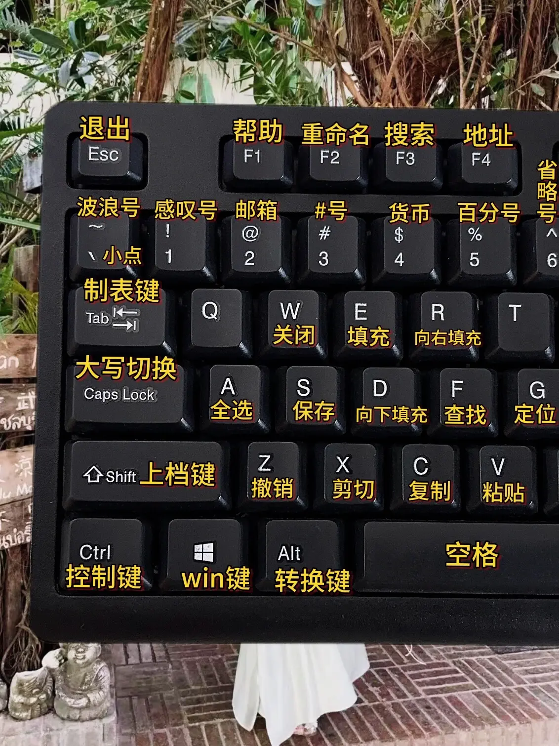 我不允许你还不会电脑，赶紧收藏起来。