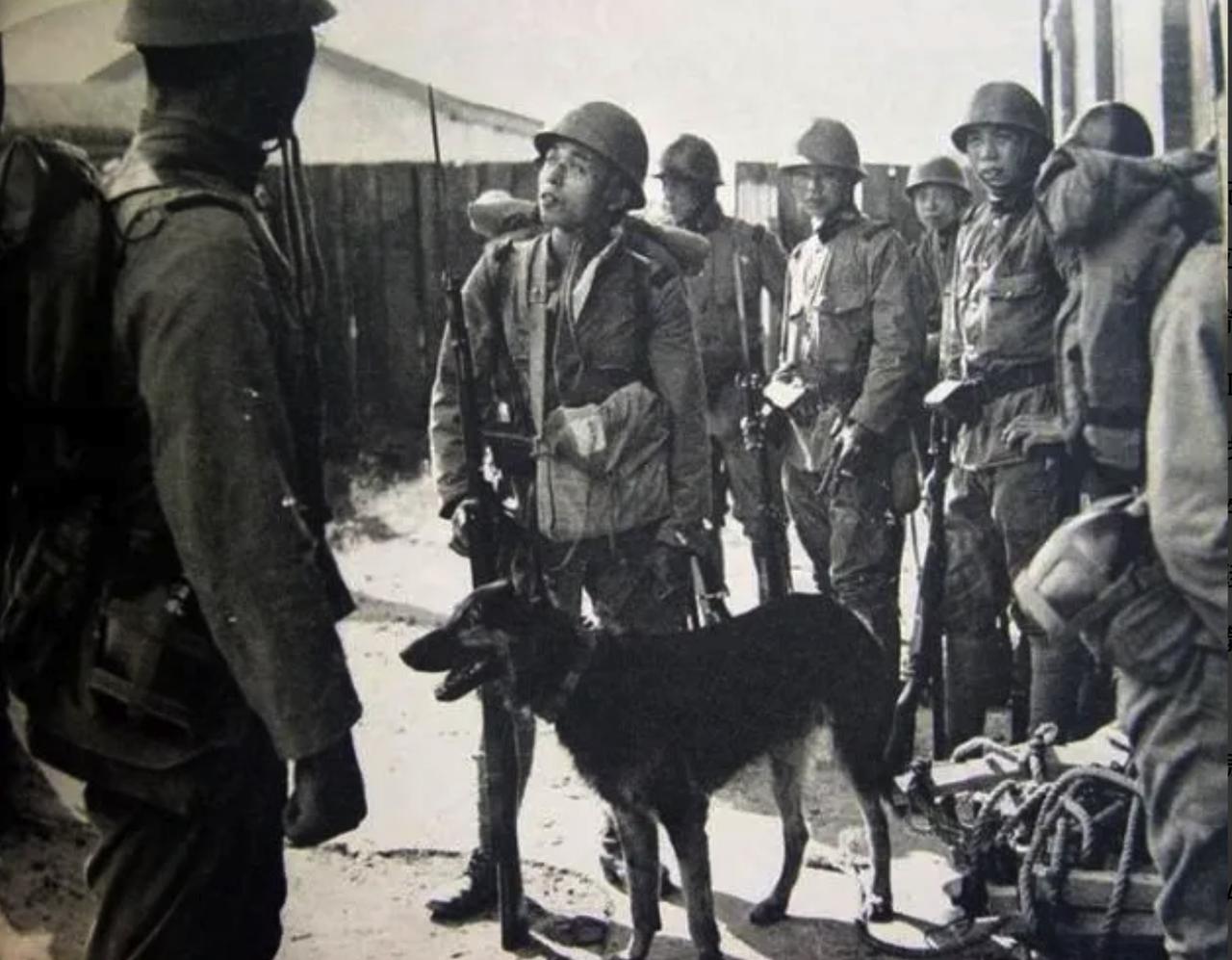 1945年5月，三名八路军神枪手埋伏待命，却迟迟没锁定日军少将。直到一个鬼子突然