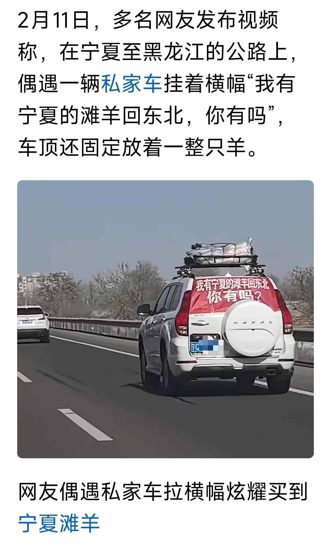 这则新闻虽然看似一件普通的“买羊炫耀”事件，但背后其实反映出多个值得深思的社会和