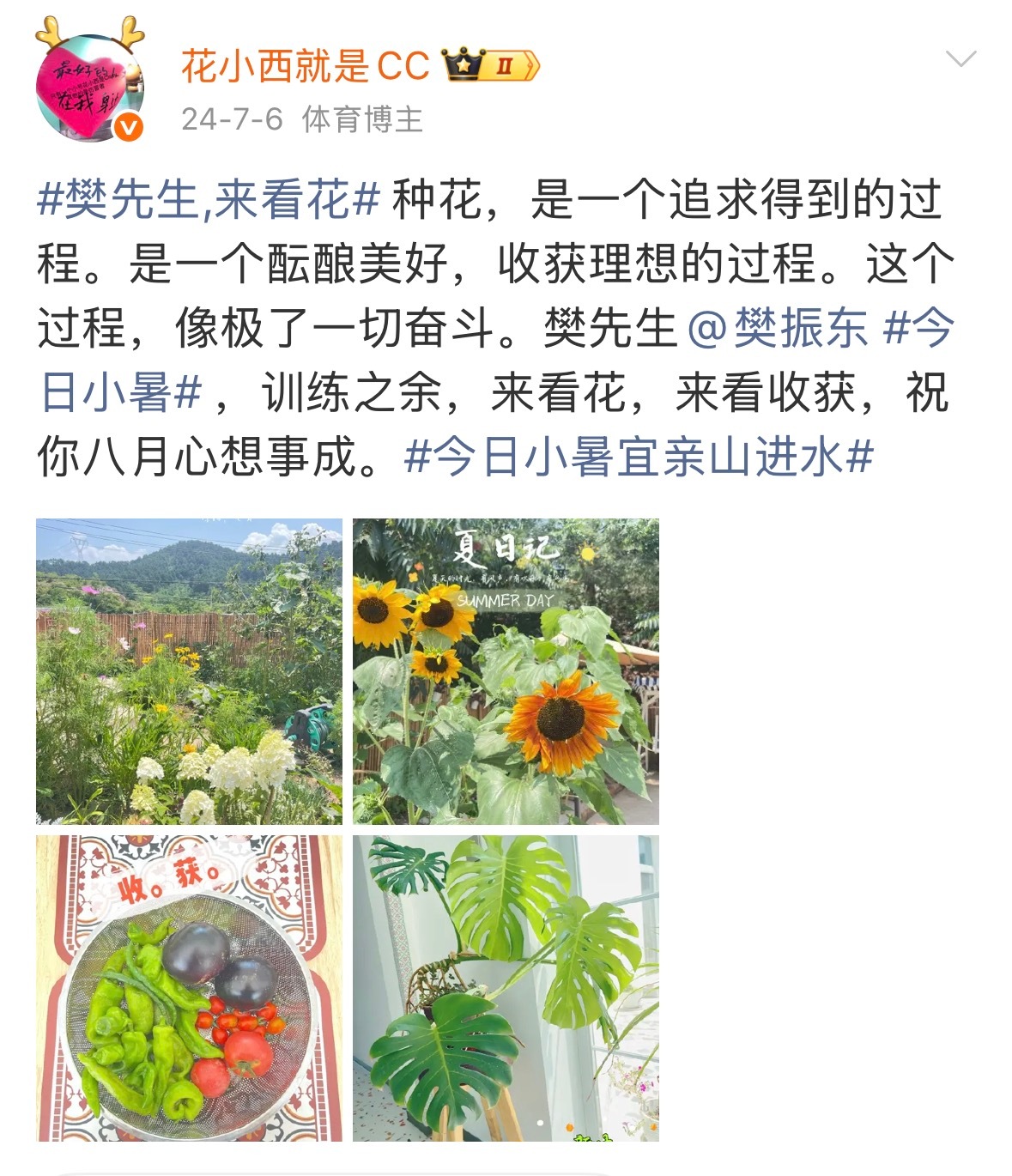 今天看到盛开的二月蓝，瞬间想起了2024年的春天。那时，整个东子球迷群体的气氛是