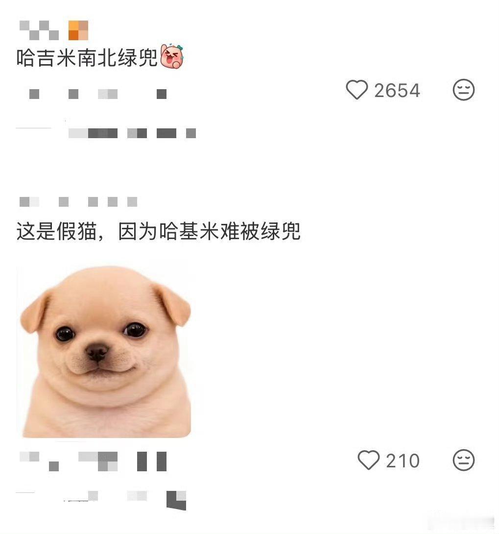 猫包已经进化成这样了现在的猫包多功能到离谱，自带风扇、遮光帘和储物口袋，可背可拉