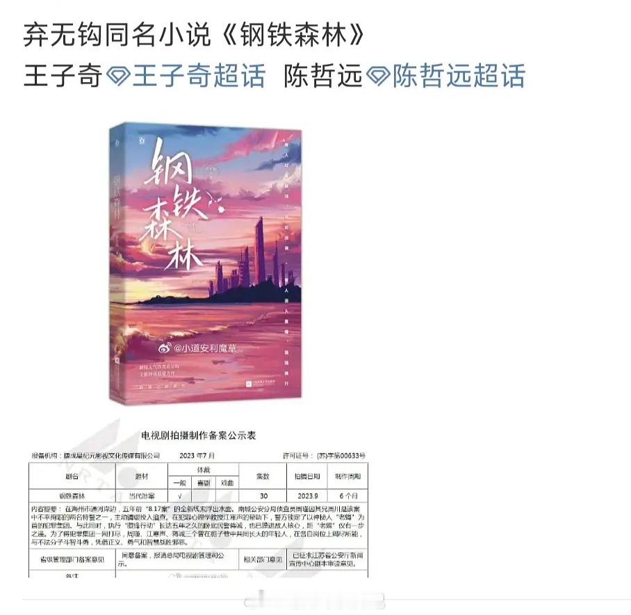 内娱要开始翻拍po文了吗弃无钩同名小说《钢铁森林》陈哲远 王子奇 ​​​