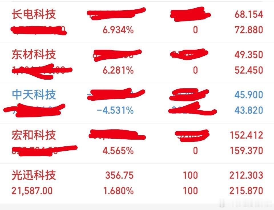 今日操作：今日买进了长电科技，宏和科技，东材科技目前持有：长电科技，宏和科技，东