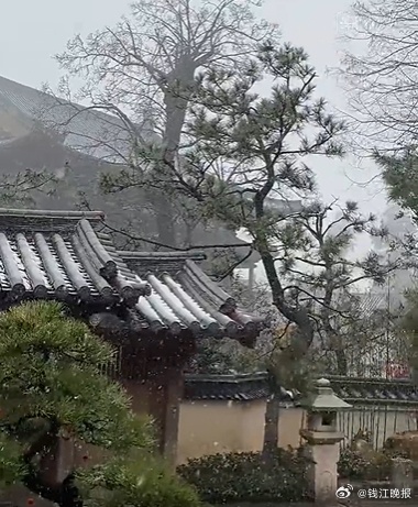 【#杭州多地下起鹅毛大雪#！#去杭州周边追雪的人太多路都堵了#】#杭州下雪# 旧