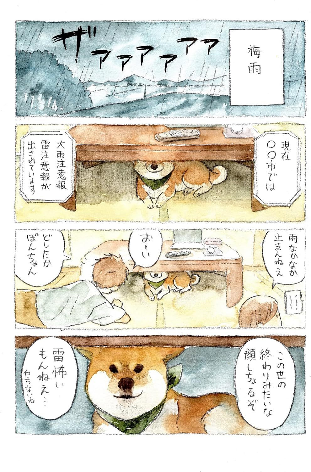 犬山sketch漫画《柴犬小胖，今天也要走自己的路》确认出版。漫画日漫新书推送柴