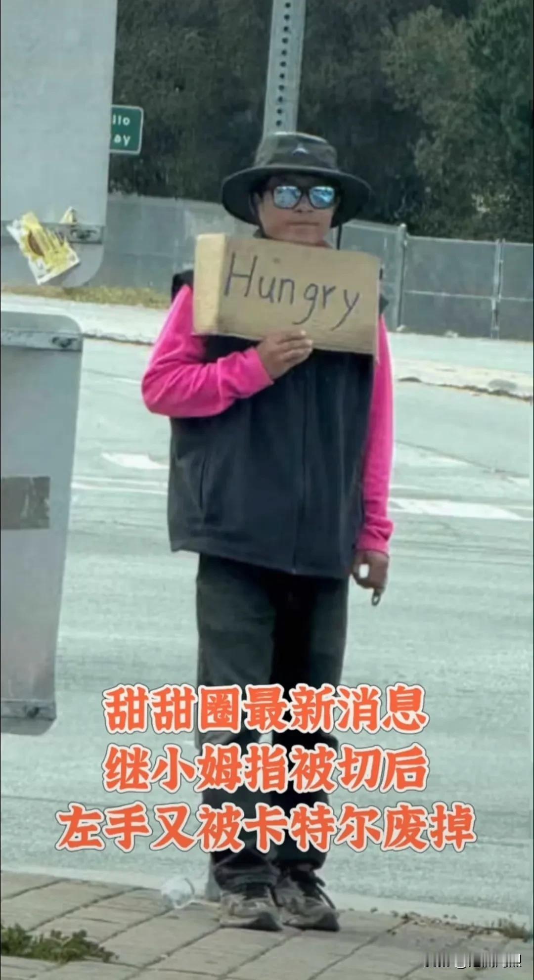 今天切手指头，
估计明儿就得摘腰子。
电子宠物甜甜圈，
估计活不了几天了。
[捂