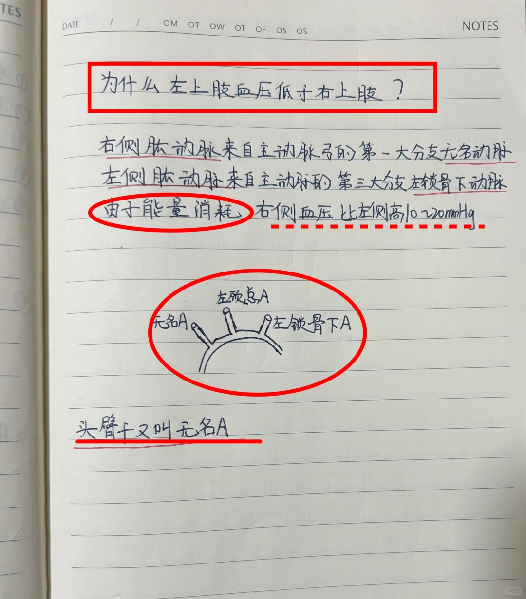 🧐为什么左上肢血压低于右上肢？✔