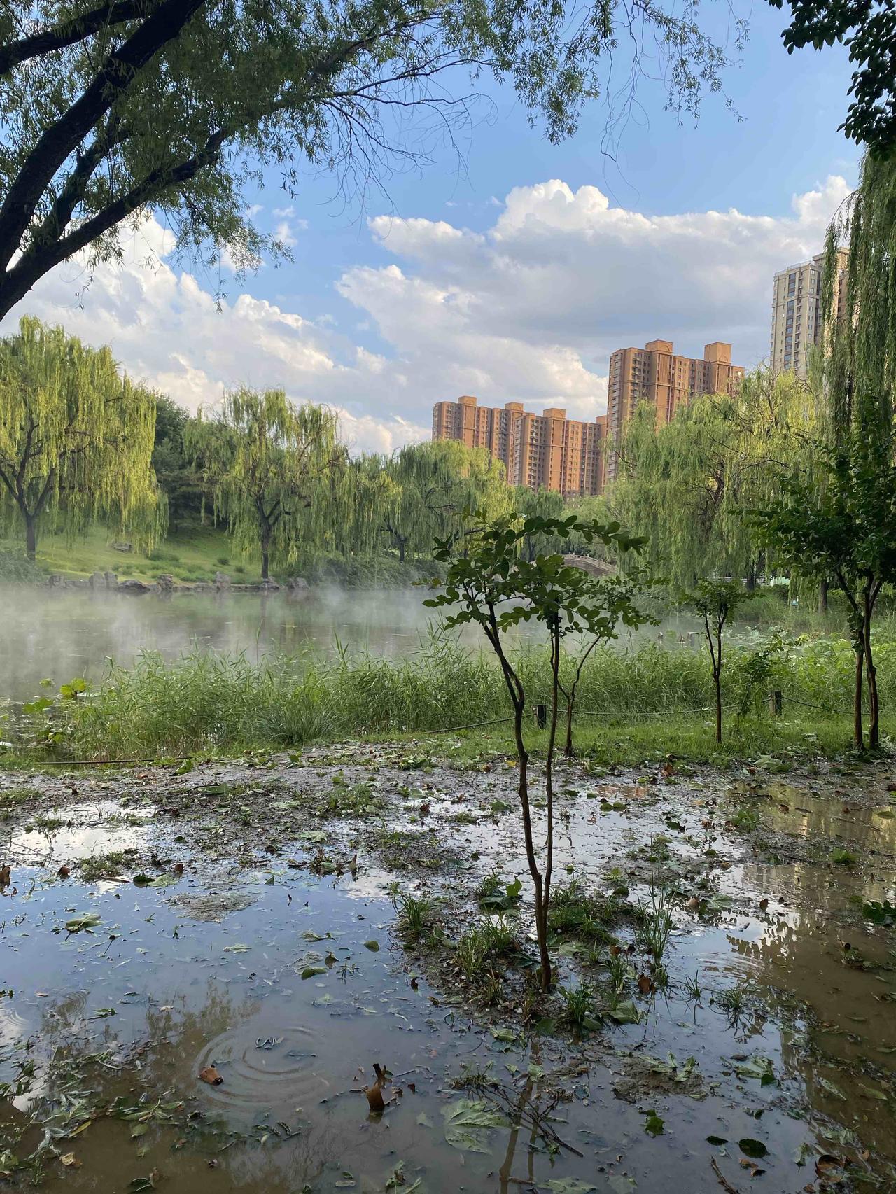 巳这个地支是最多变的地支，不要以为它是纯纯的烈火，非也。

它跟丑或者酉在一起是
