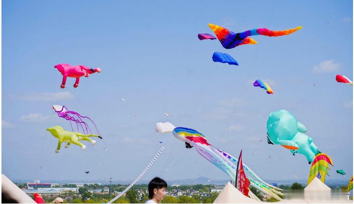 #当普通社牛遇到社牛天花板#开始只知道风筝节有很多种风筝，但是看到大蟑螂的时候我