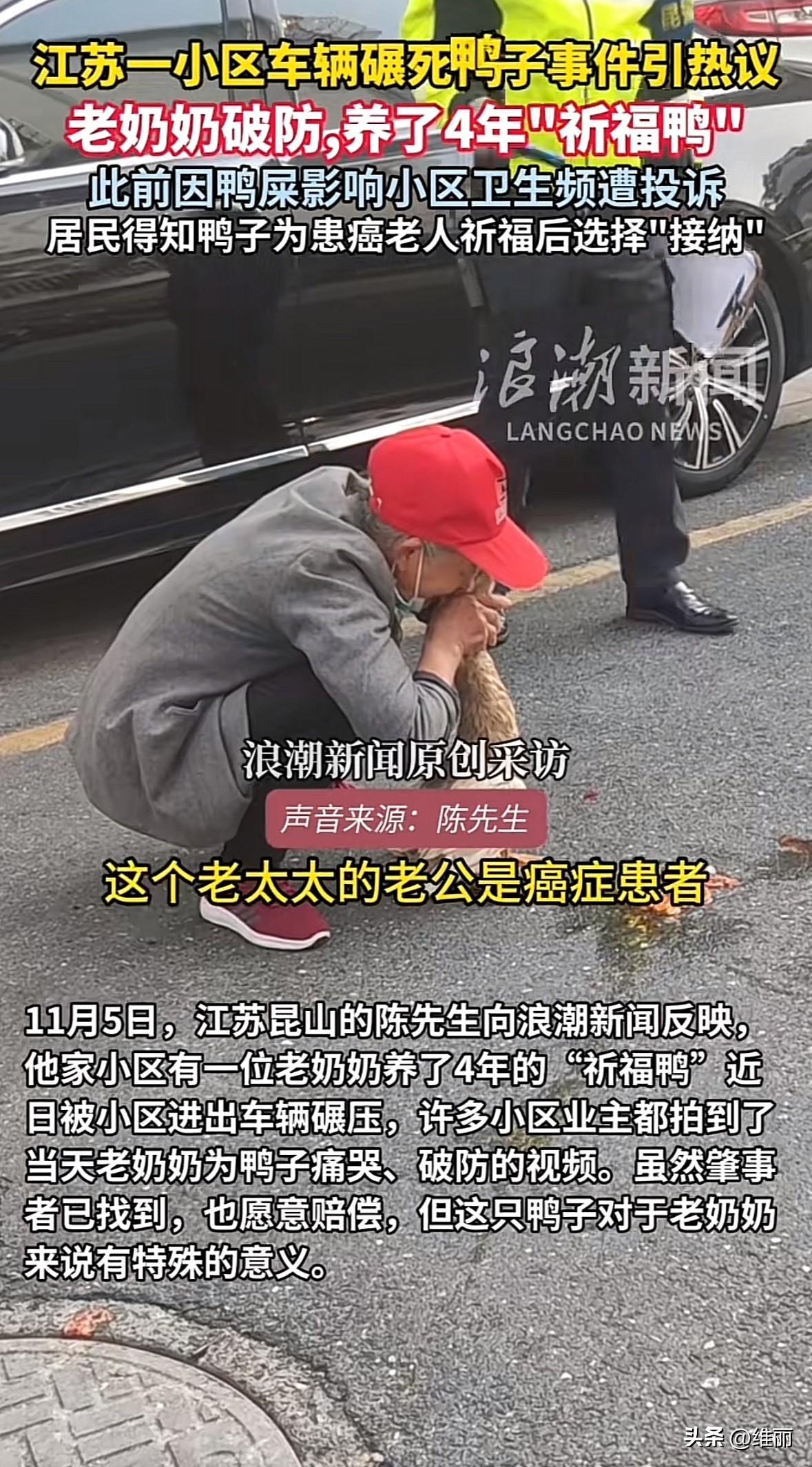 江苏昆山北栅湾小区，一位老奶奶养了4年的鸭子被车碾死，老人当场抱着鸭子贴面痛哭。