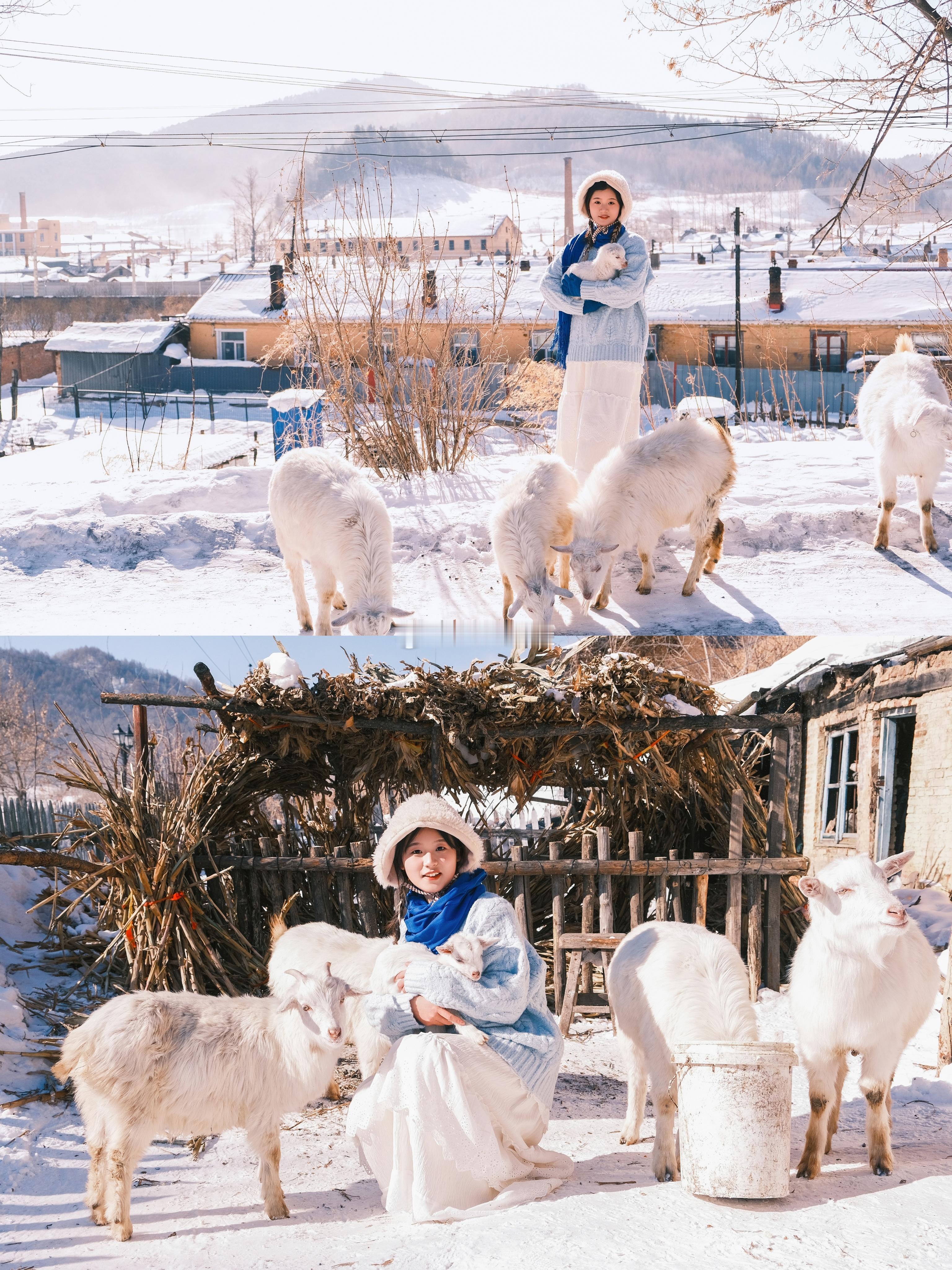 横道河子拍到的人生大片终于拍到抱小羊的照片啦#横道河子约拍# ​​​